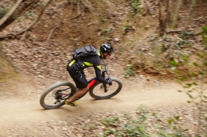 Electric Bikes Electric Bikes